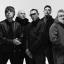 Shed Seven: ' A Maximum High' Live