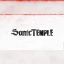 Sonic Temple Art + Music Festival