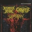 Despised Icon / Carnifex