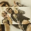 Truckfighters