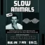Slow Animals