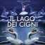 Il lago dei cigni