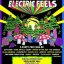 Electric Feels @ Vinyl Music Hall