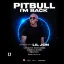 PITBULL - Vip Package