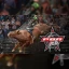 PBR Team Series Feat Miranda Lambert - Sunday