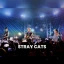 The Stray Cats