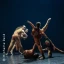 Tanzfestival: Show 1