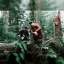 Emancipator