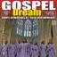 Cathédrale Americaine Gospel Dream