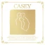 Casey + Downswing - 10th Anniversary Tour for Love Is Not Enough