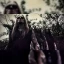 Belphegor, Incantation, Hate, Narcotic Wasteland