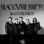 Black Veil Brides
