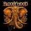 Bloodywood at Turock