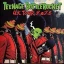 Teenage Bottlerocket