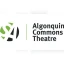 Algonquin Commons Theatre