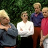 A Flock of Seagulls