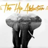 The Hip Abduction