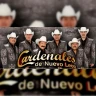 Cardenales de Nuevo Leon