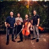 The Fretless