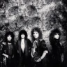 Y&T