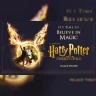 Harry Potter and the Cursed Child - One Part Show