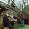 The Deadlians