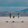 Foxtide
