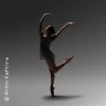 Ballett am Rhein: Grey Area