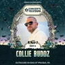 Collie Buddz Live at Concerts Under The Stars