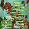 The Backyard at Boca Fiesta & Palomino: Raging Nathans, DFMK