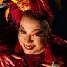 MARIA ALCINA CANTA ROBERTO, ERASMO, TIM MAIA E JORGE BEN JOR - A TURMA DA TIJUCA
