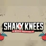 Shaky Knees Music Festival