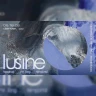 LUSINE with headnod., Mr. Lang, and Temportal
