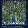 The Bluetones Acoustic