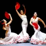 Experiencia Premium en Teatro Flamenco Sevilla