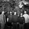 Fiddlehead