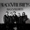 Black Veil Brides