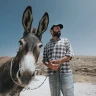 אבו טבלה וחברים
