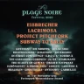 Plage Noire Festival 2026