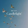 Candlelight: Tribut an Taylor Swift