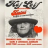 DAIMI - 65 ÅR PÅ DE SKRÅ BRÆDDER