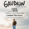 Gaudion