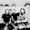 Gin Blossoms