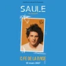 Saule en Concert
