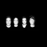 Osees