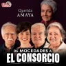 Querida Amaya... De Mocedades a El Consorcio