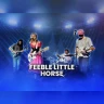 Feeble Little Horse
