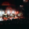 The Mavericks