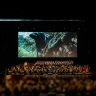 The Lord of the Rings: The Fellowship of the Ring in Concert - #1