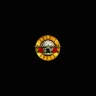 Guns N' Roses San Diego